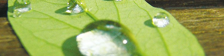 Naturheilverfahren